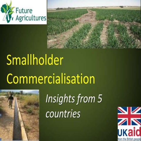 Smallholder commercialisation - insights from 5 countries
