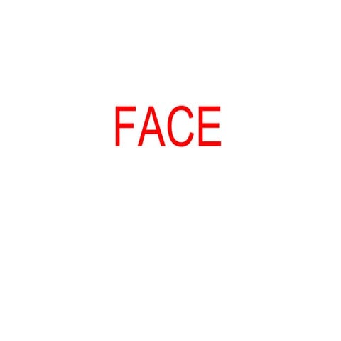 Face