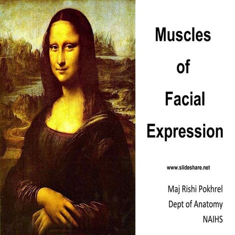 Muscles of facial expression