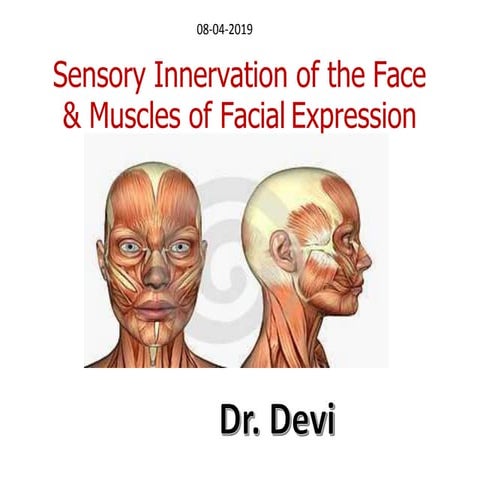 Anatomy-  Muscles of Facial expression  