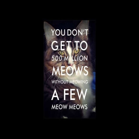 Facebook fan pages 101 by Amber Karnes