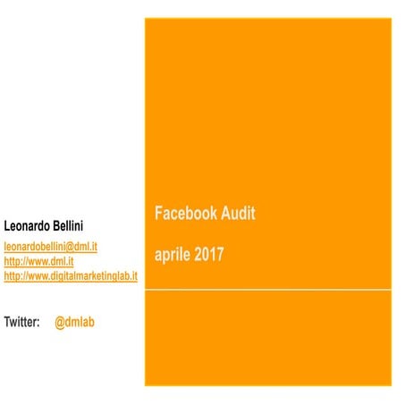 Facebook audit 2017