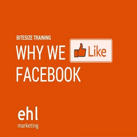 Why we love Facebook & you should to | PPTX