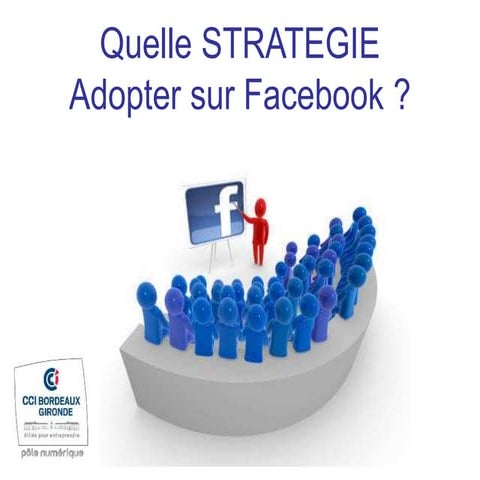 Quelle stratégie adopter sur Facebook ?