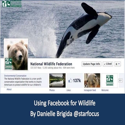 Proving the Value of Facebook