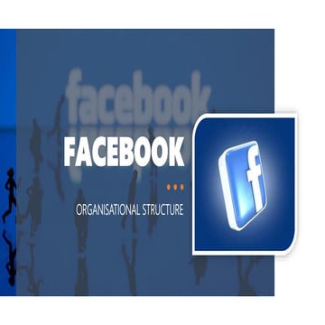 Facebook Case Study- Presentation- Organizational Structure and design- MBA