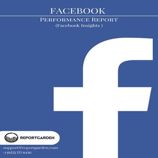 Facebook Insights Reports