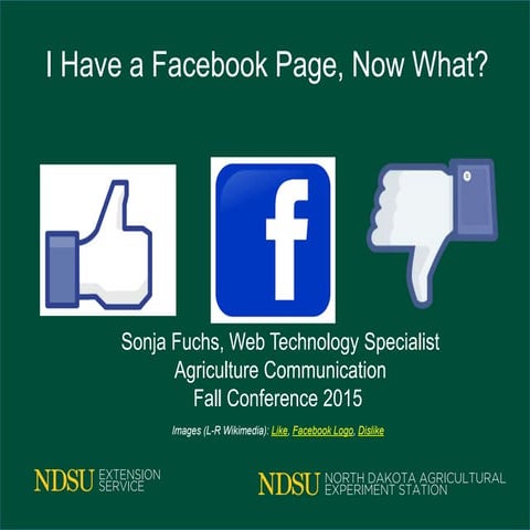 I have a Facebook Page: Now what?