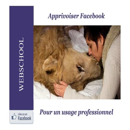 Facebook pour les pros