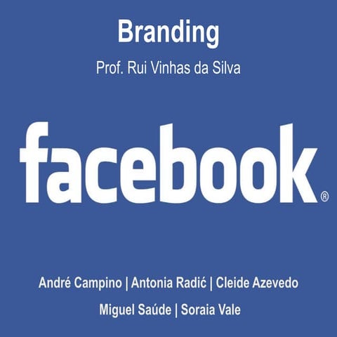 Facebook Case Study + Solutions 2013