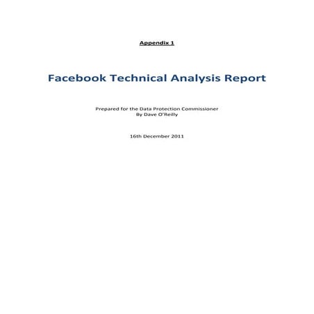 Facebook report appendices