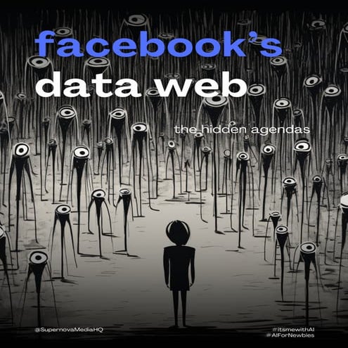 Facebook's Data Web - The Hidden Agendas