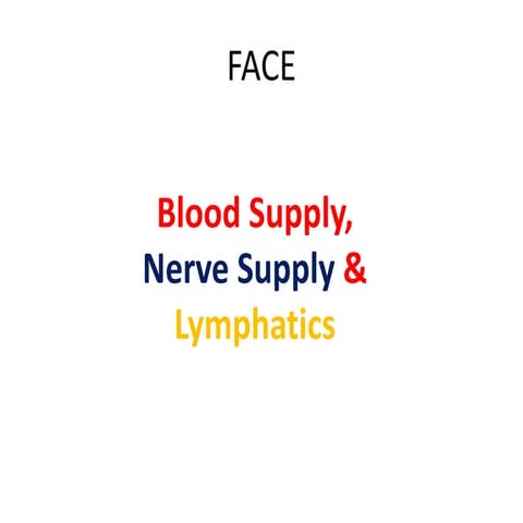 blood supply nerve supply of face