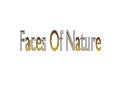 Faces of Nature