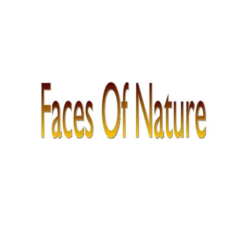 Faces of Nature