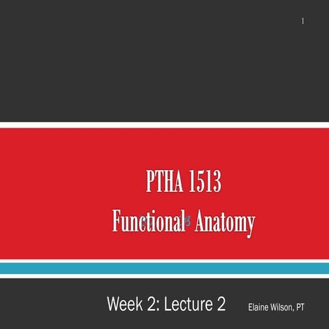 chapter 03 week 2 lecture 2