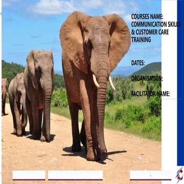 CUSTOMER CARE  .pptx