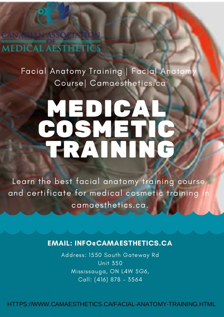 Facial Anatomy Training Facial Anatomy Course Camaesthetics.ca