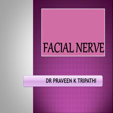 FACIAL NERVE