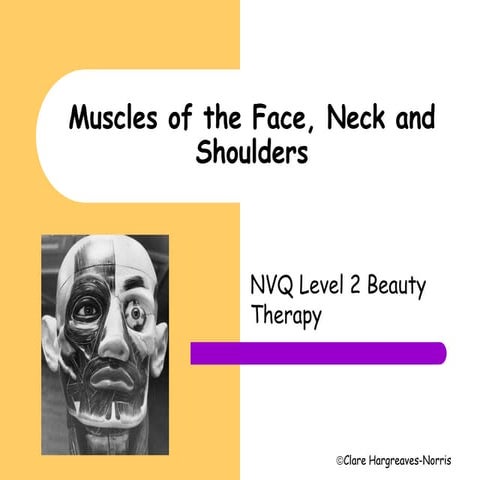 Facial muscles | PPTX