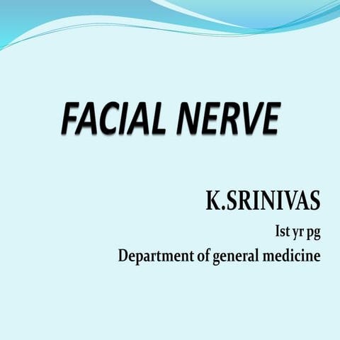 Facial nerve