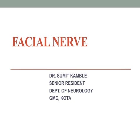 Facial nerve
