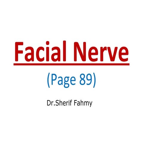 Facial Nerve (Anatomy of the Neck)