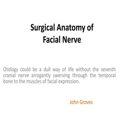 Facial nerve