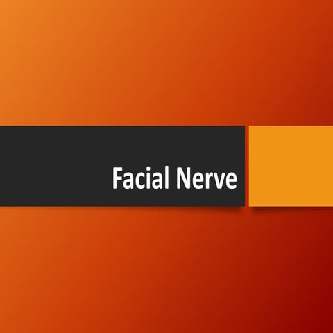 Facial nerve