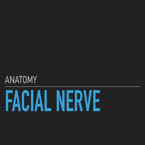 Facial nerve