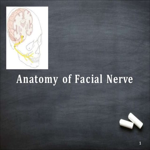Facial Nerve.pptx