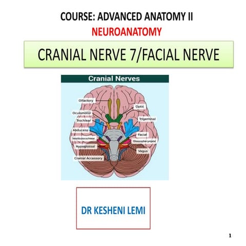 COURSE: ADVANCED ANATOMY II NEUROANATOMY