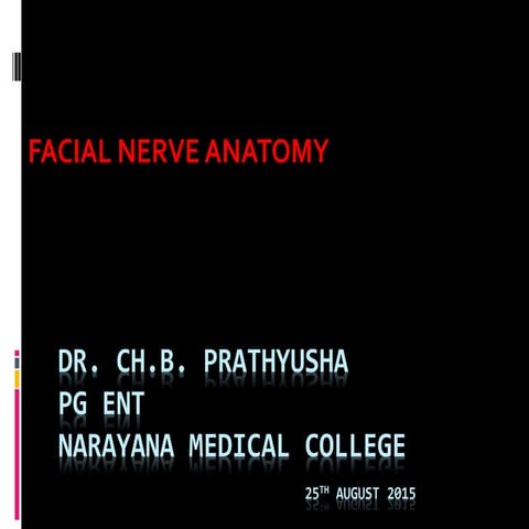 facial nerve anatomy for medical students and ENT postgraduates