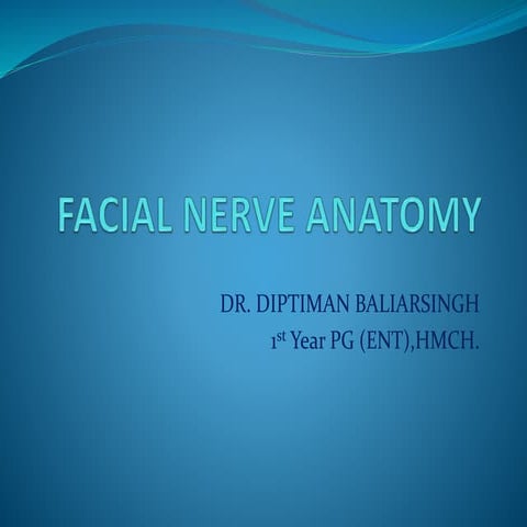 Anatomy of Facial Nerve
