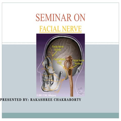 Facial nerve done