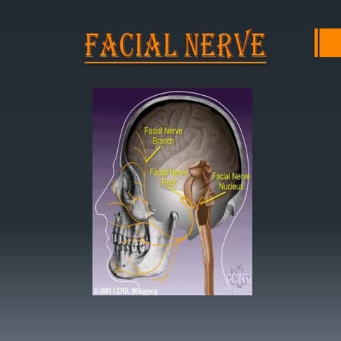 Facial nerve ppt  roger original