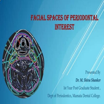 Facial spaces of periodontal interest.