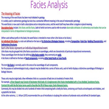 Facies Analysis.pptx