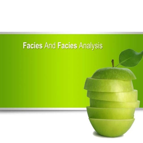 Facies term