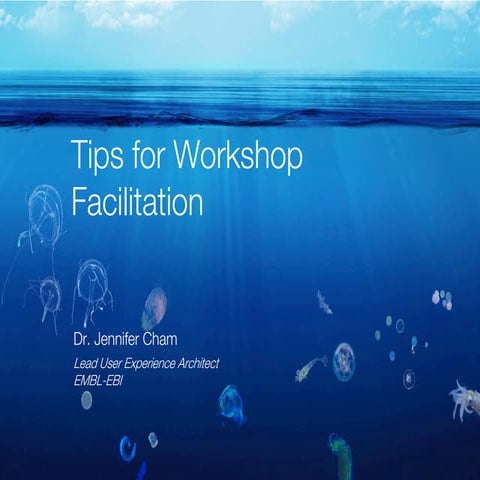 Tips for Workshop Facilitation