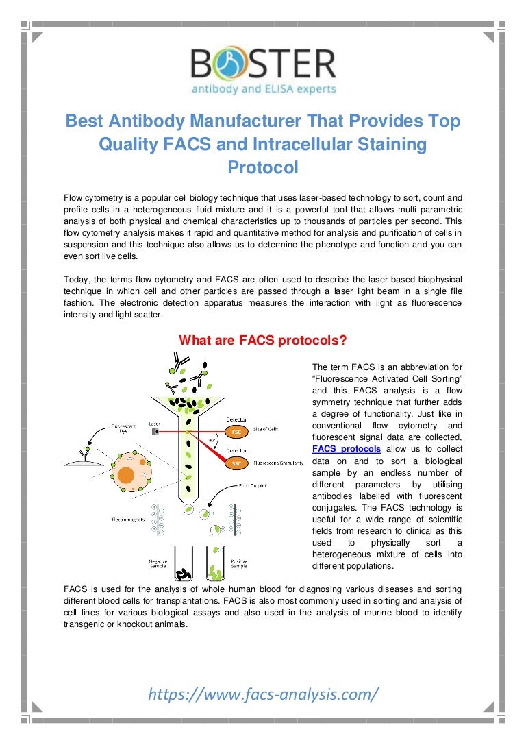 Facs staining protocol