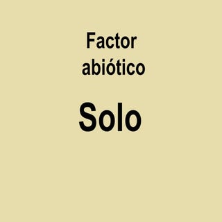 Solo - Factor Abiotico
