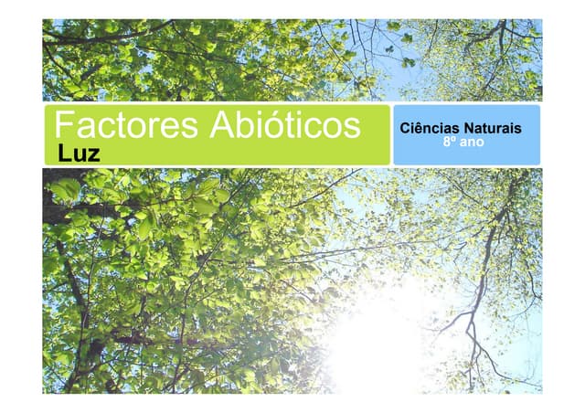 Factores Abióticos - Luz