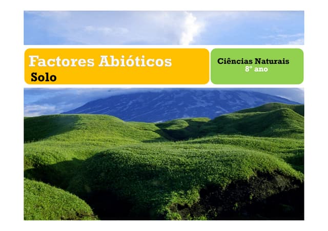 Factores Abióticos - Solo