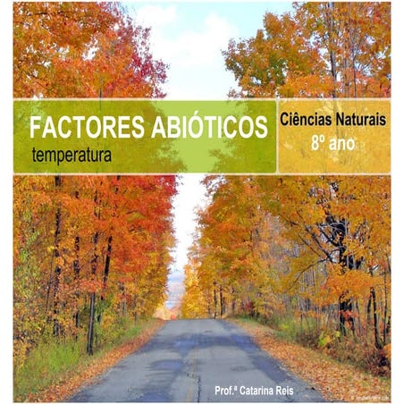 Factores Abióticos - Temperatura