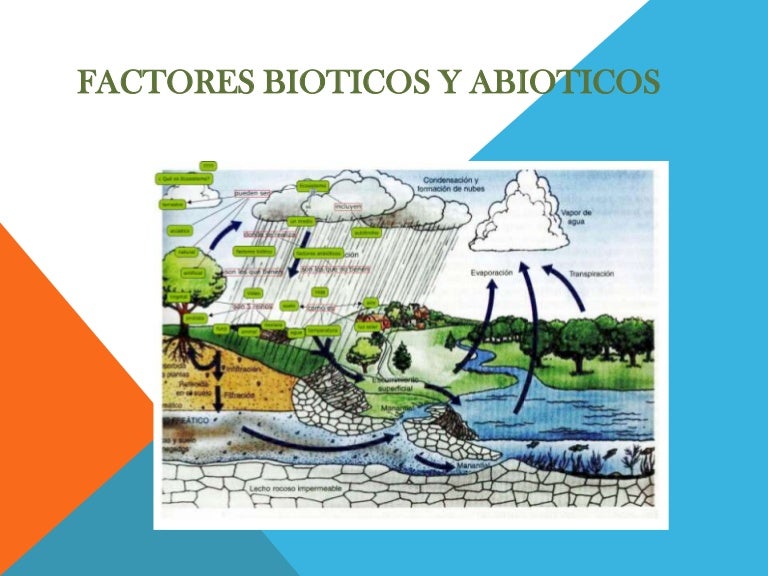 Factores bioticos y abioticos