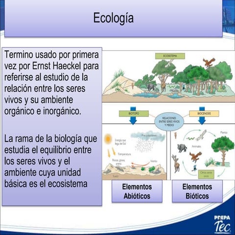 4.3 Ecosistemas: Factores Bioticos y Abioticos