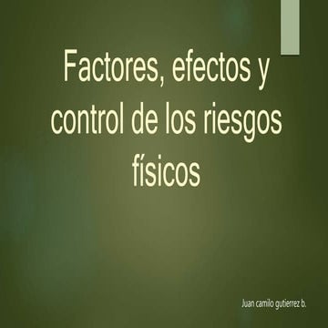 Factores, efectos y control de los riesgos