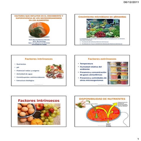 Principales Causas De Deterioro De Los Alimentos | PPT