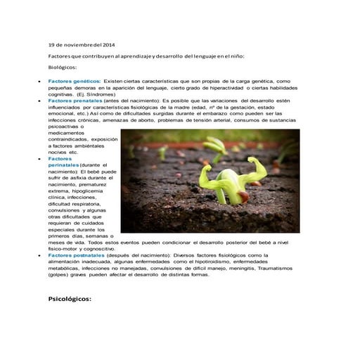 Factores que influyen en el desarrollo del lenguaje.